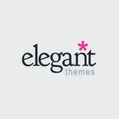 Home 50 Elegant-Themes-brands-247x247
