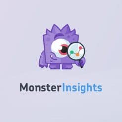Home 68 m-monsterinsights-247x247